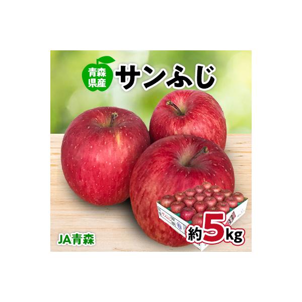 ふるさと納税 青森市 JA青森 青森県産りんご「サンふじ」約5kg