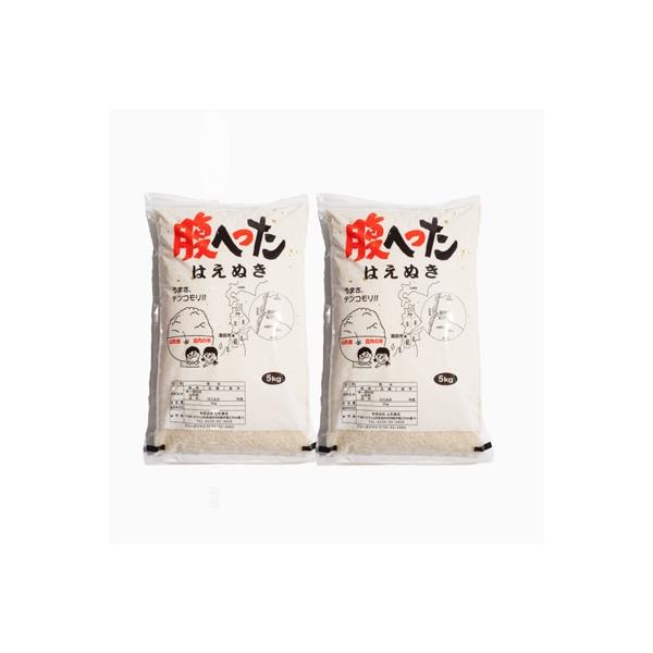 はえぬき精米10kg(5kg×2袋)