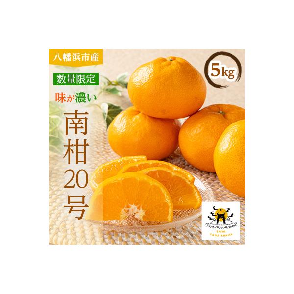 あまーい温州みかん(南柑20号みかん)5kg[数量限定]【C56-7】