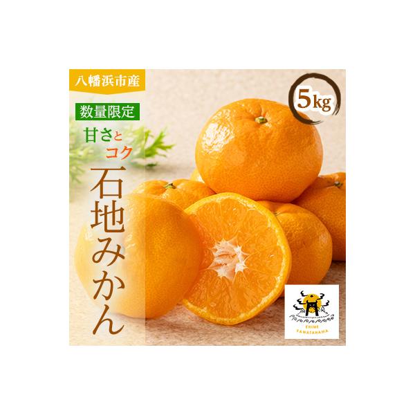あまーい温州みかん(石地みかん)5kg[数量限定]【C56-8】