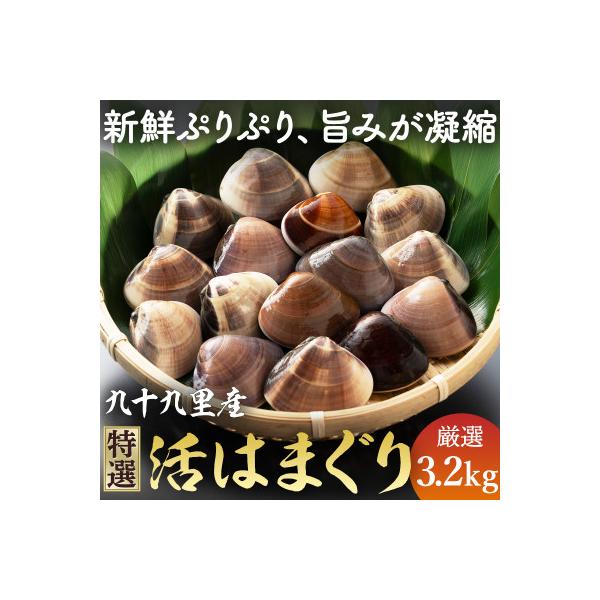 ≪千葉ブランド水産物認定品≫　　　　　　九十九里産活けはまぐり約3.2kg/34～44個