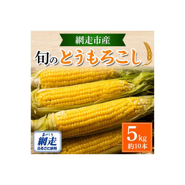 ■お礼品詳細　・配送方法：クール便(冷蔵)　・提供元：北海道センタービレッジ株式会社■お申し込み・配送・その他　・発送時期：2026-08-20〜2026-09-10(お届け時間帯指定可)　・申込受付期間：2025-11-24〜2026-0...