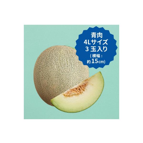 【2026年先行予約】飯岡メロン　4Lサイズ(約1.6kg)×3玉セット(計約4.8kg)