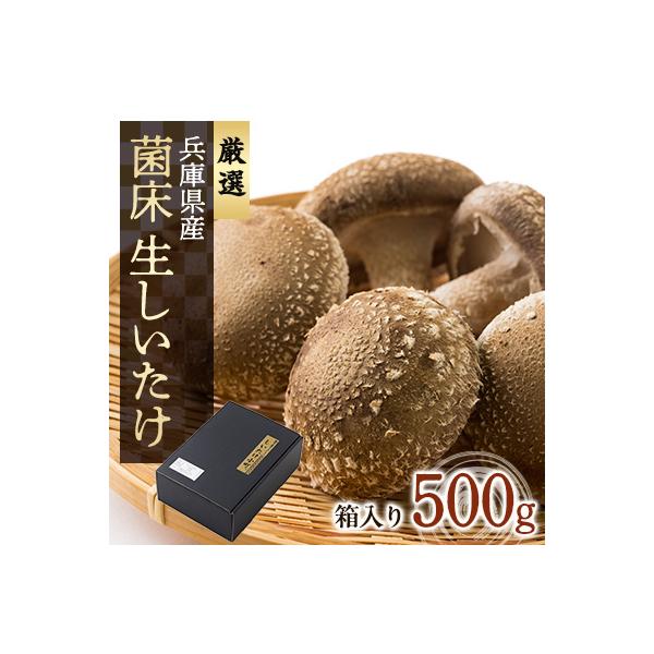 兵庫県産　生椎茸　「しいたけ小町」500g