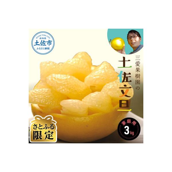 【さとふる限定】三愛果樹園の土佐文旦　家庭用約3kg