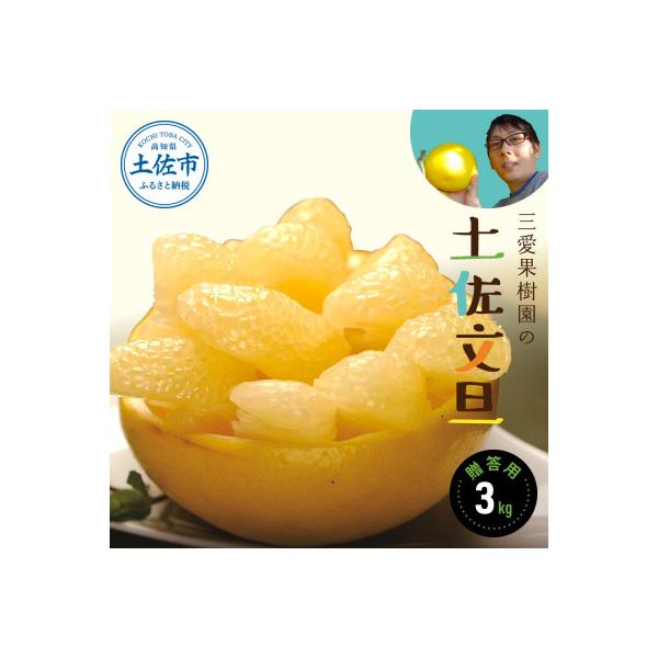三愛果樹園の土佐文旦　贈答用約3kg