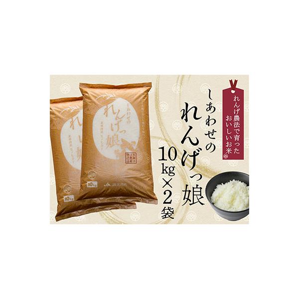 ふるさと納税 交野市 JA北河内しあわせのれんげっ娘(精米)10kg×2(交野