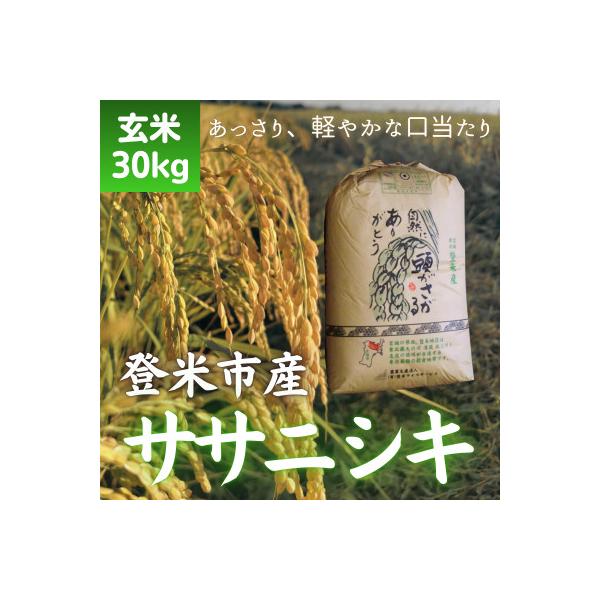 令和7年産　宮城県登米市産ササニシキ(玄米)30kg