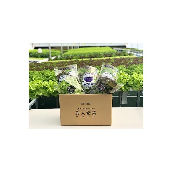 ■お礼品詳細　・配送方法：クール便(冷蔵)　・提供元：株式会社Ａｇｒｉｓｕｓ■お申し込み・配送・その他　・発送時期：お申し込み後、順次発送(お届け時間帯指定可)　・申込受付期間：通年　・配達外のエリア：離島　・寄付証明書の送付時期目安：申込...