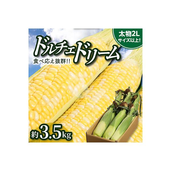 【先行受付2027年】食べ応え抜群　太物2Lサイズ以上!ドルチェドリーム　約3.5kg