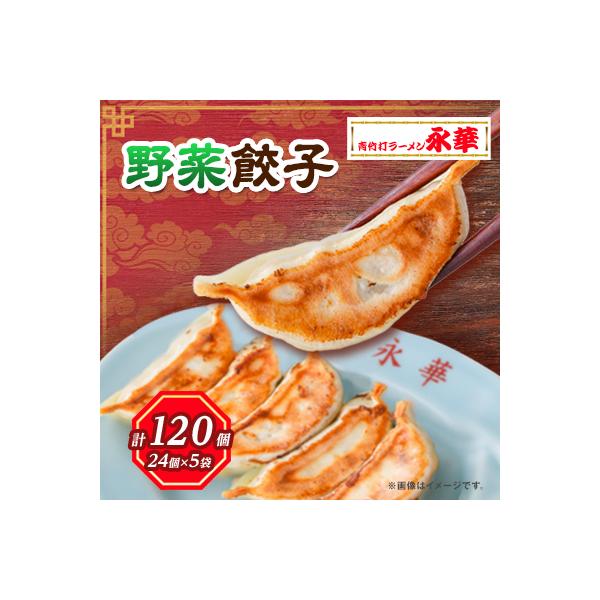 佐野餃子(中)野菜27g×120個 【離島・沖縄県不可】