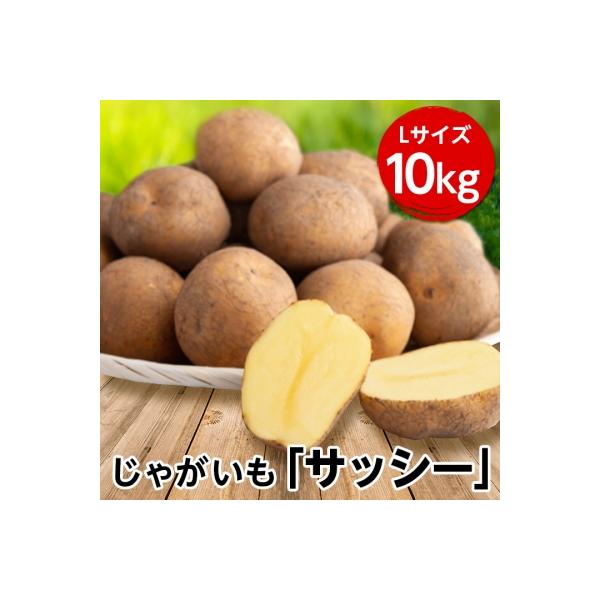じゃがいも「サッシー」Lサイズ・10kg