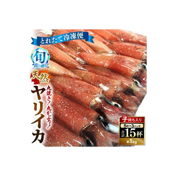 丸焼き丸かぶり!旬真っ盛りの小剣先イカ(子持ヤリイカ)とれたて冷凍便