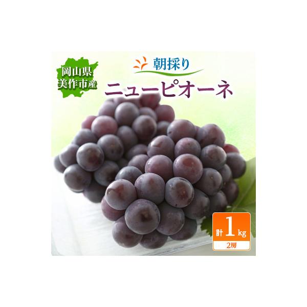 朝採りニューピオーネ　1kg(2房)