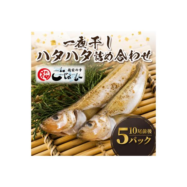 【越前海岸・美味直送シリーズ】一夜干しハタハタ詰合わせ(7～9尾入り5パック)