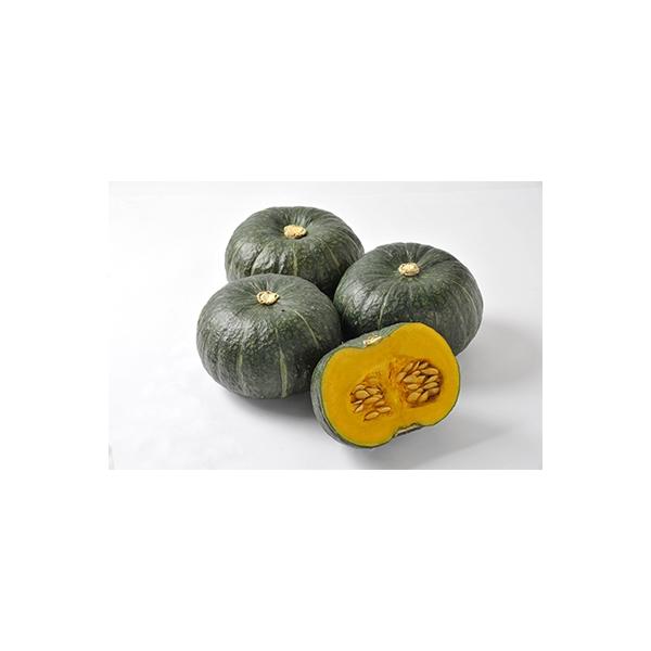 北海道月形町産のかぼちゃ「虹ロマン」約10kg 1箱【令和6年9月より出荷・先行受付】