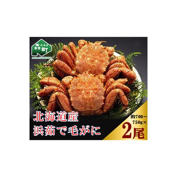 ふるさと納税 森町 前浜茹で毛がに2尾(約700-750g) :1145267:さとふる - 通販 - Yahoo!ショッピング ふるさと納税 森町 前浜茹で毛がに2尾(約700-750g) :1145267:さとふる - 通販 - Yahoo!ショッピング