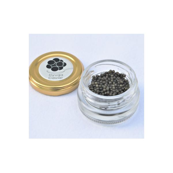 ふるさと納税 日向市 日向キャビア(Hyuga Caviar)10g【桐箱入り】 (冷凍・フレッシュキャビア)