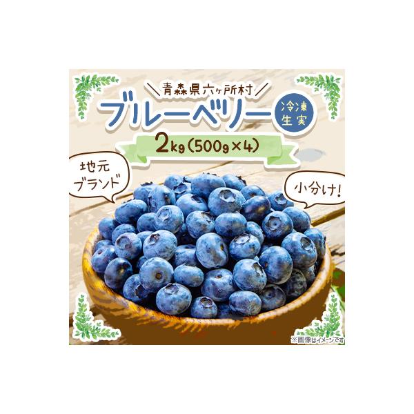 【地元ブランド】ブルーベリー冷凍生実2kg(500g×4)小分け　<2026年8月より順次発送>