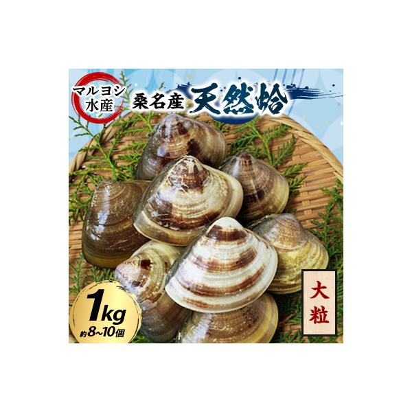 マルヨシ水産　桑名産大粒天然蛤1kg 017-0047