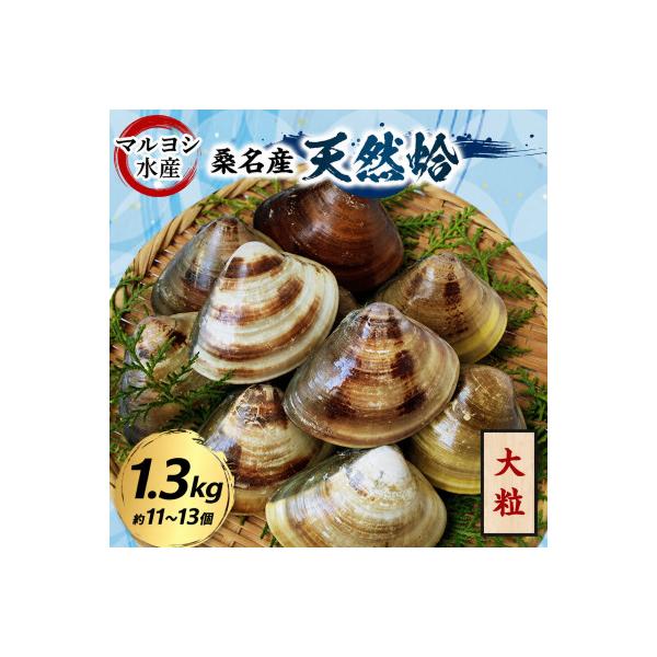 マルヨシ水産　桑名産大粒天然蛤1.3kg 017-0197