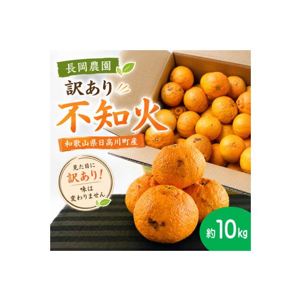 【訳あり】熟成　不知火(しらぬい)約10kg(サイズ混合S～L)/和歌山県日高川町産