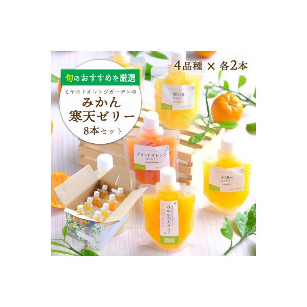 愛媛の柑橘4品種を厳選!旬のおすすめ みかん寒天ゼリー8本セット【C25-30】