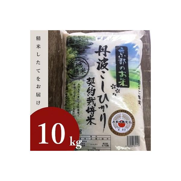 【令和7年産】京都丹波産 お米 コシヒカリ 精米 10kg