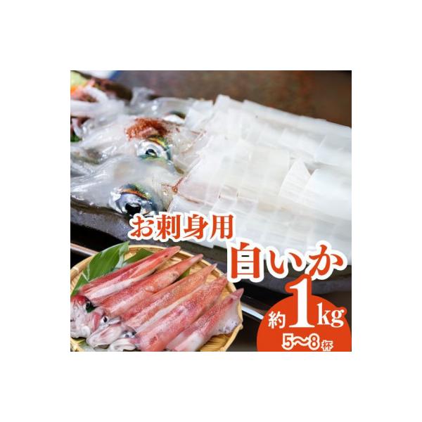 刺身用白いか(剣先いか)(令和8年6月下旬以降の発送)