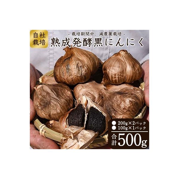 【有機質肥料栽培】発酵熟成 黒にんにく 500g　010-G19