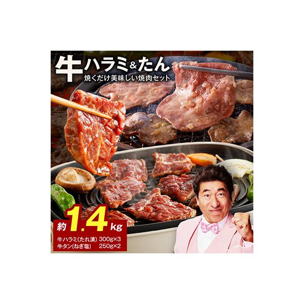 大人気 ファミリー向け 焼肉セット 牛たん 牛ハラミ肉 合計1.4kg 099H4054