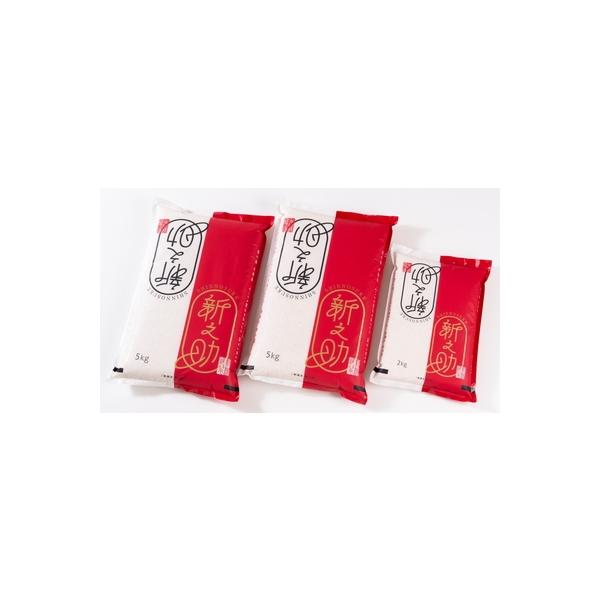 【令和7年産米】村上市産新之助12kg  B4030