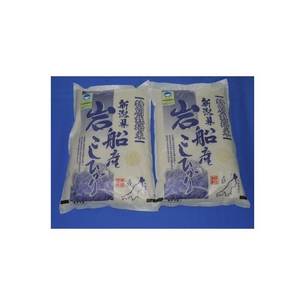 【令和7年産米】特別栽培米 新潟県岩船産コシヒカリ 10kg(5kg2袋) 1029004