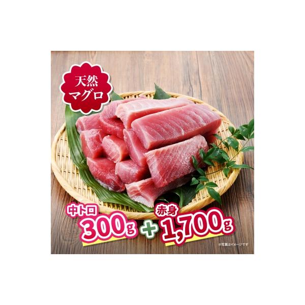 三崎の天然マグロ三昧!中トロ・赤身が入った王道コンビ2kgセット!