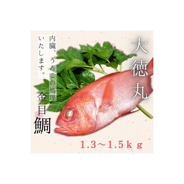 脂たっぷり!【三崎水揚げ】金目鯛