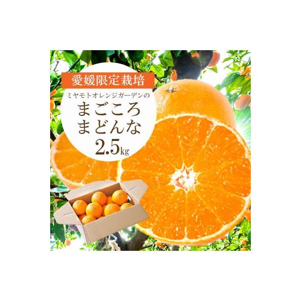 紅まどんなと同品種 愛媛果試28号 まごころまどんな 2.5kg【D25-128】