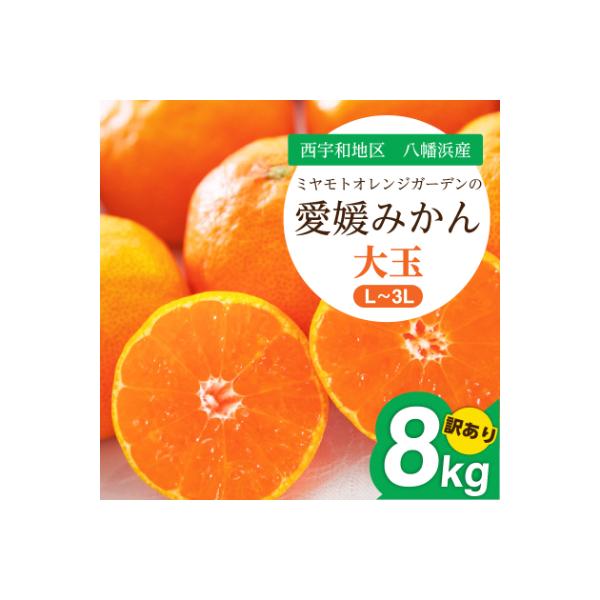 大玉サイズのみ厳選!八幡浜産 愛媛みかん8kg【訳あり】【C25-142】