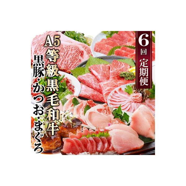 定期便(6回)A5等級黒毛和牛・黒豚・かつお・まぐろ FF-0058