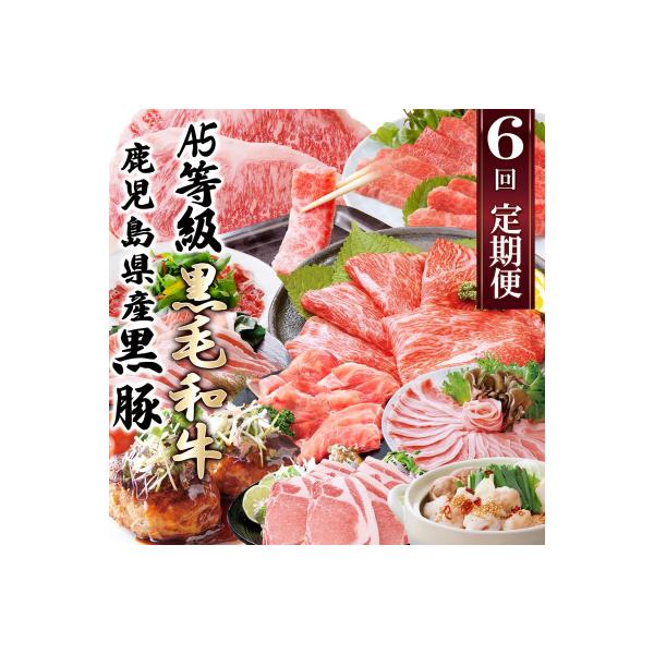 定期便(6回)A5・A4等級黒毛和牛・黒豚etc FF-0061