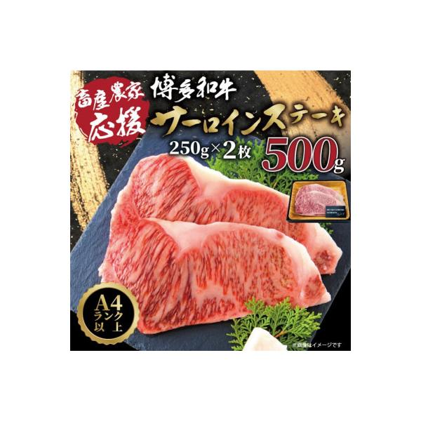 【A4～A5】博多和牛サーロインステーキ【厳選部位】(250g×2枚)