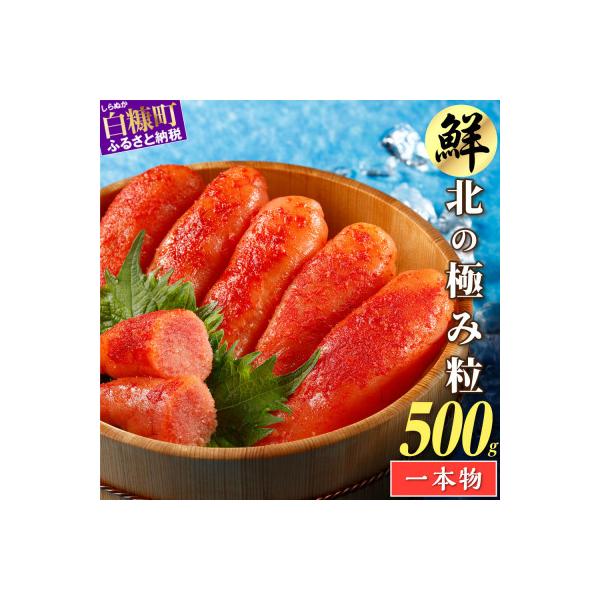 辛子明太子【250g×2】