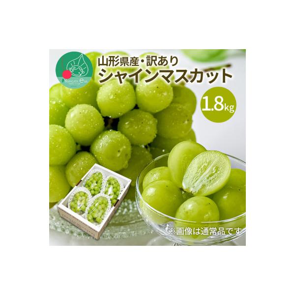 ぶどう シャインマスカット 訳あり 1.8kg (3～5房) 山形県産 【令和8年産 先行受付】