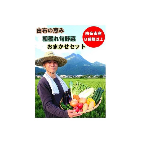 ■お礼品詳細　・配送種別：冷蔵便　・提供元：セレンディピティ【由布の青果店】■お申し込み・配送・その他　・発送時期：2025/2/18から順次発送 ※2025/2/18以降のお申し込みは1週間程度で発送いたします。(お届け時間帯指定可)　・...