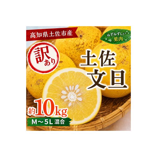 【訳あり】土佐文旦 家庭用 (M～5L混合サイズ) 約10kg