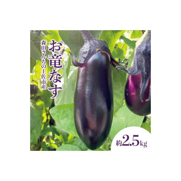 ■お礼品詳細　・配送種別：通常　・提供元：株式会社とさもん（森田さんち）■お申し込み・配送・その他　・発送時期：2025-12-01〜2026-06-05(お届け時間帯指定可)　・申込受付期間：〜2026-05-17　・配達外のエリア：　・...