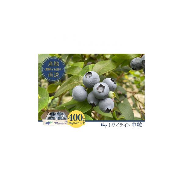 ■お礼品詳細　・配送種別：冷蔵便　・提供元：レッドホースコーポレーション（ブルーベリーパーク成田）■お申し込み・配送・その他　・発送時期：2026-04-20〜2026-06-30(お届け時間帯指定可)　・申込受付期間：〜2026-05-0...