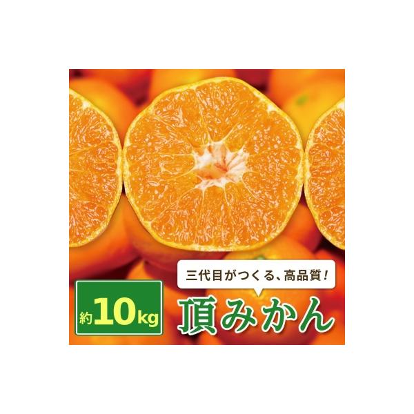 三代目がつくる高品質【頂みかん】10kg【F31-61】