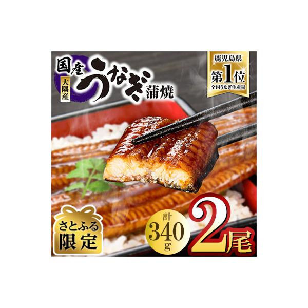 【期間限定】【さとふる限定】鹿児島県大隅産うなぎ蒲焼2尾(計340g)