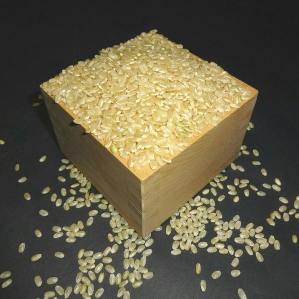 【7年産】野口勘右衛門「玄米食最適米(ミルキークイーン)」玄米20kg(10kg×2)
