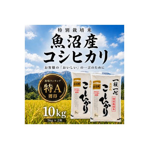 【新米】令和8年産 魚沼産コシヒカリ 10kg 特別栽培米